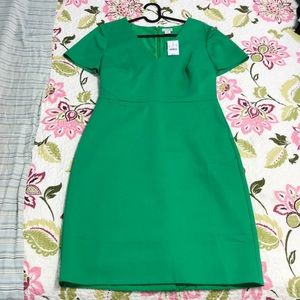NWT J Crew Cap Sleeve V Neck Dress